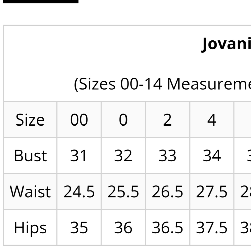 JOVANI DRESS - Picture 5 of 5